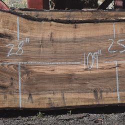 36272 English Walnut Slab 109"x33"-25"x3 3/8" May 2025