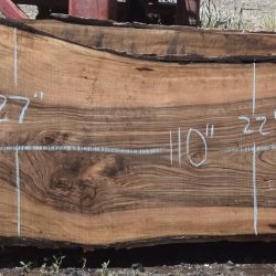 36273 English Walnut Slab 110"x33"-22"x3 1/4" May 2025