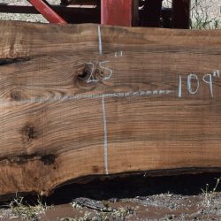 36275 English Walnut Slab 109"x35"-24"x3 1/4" May 2025