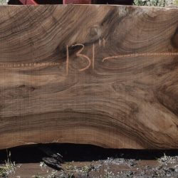 36277 English Walnut Slab 131"x28"-23"x3 3/8" May 2025