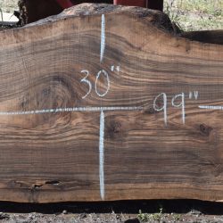 36282 English Walnut Slab 99"x30"-27"x3 3/8" May 2025