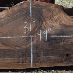 36283 English Walnut Slab 99"x31"-22"x3 3/8" May 2025
