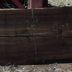 36280 English Walnut Slab 99"x27"-26"x3 3/8" May 2025