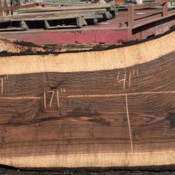 36293 Highly Figured Bastogne Walnut Slab 171"x52"-37"x3 3/8" May 2025