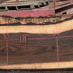 36295 Highly Figured Bastogne Walnut Slab 171"x50"-35"x3 3/8" May 2025