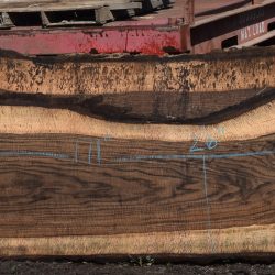 36296 Highly Figured Bastogne Walnut Slab 171"x48"-26"x3 1/4" May 2025