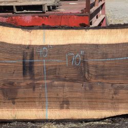 36292 Highly Figured Bastogne Walnut Slab 170"x51"-37"x3 1/2" May 2025