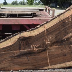 36298 Highly Figured Bastogne Walnut Slab 102"x56"-21"x2 7/8" May 2025