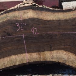 36305 Highly Figured Bastogne Walnut Slab 98"x38"-32"x2 3/4" May 2025