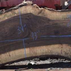 36306 Highly Figured Bastogne Walnut Slab 93"x36"-33"x2 7/8" May 2025