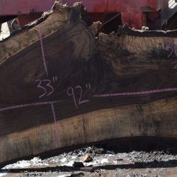36307 Highly Figured Bastogne Walnut Slab 92"x33"-26"x3" May 2025