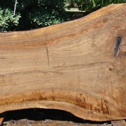 Walnut Hardwood Slabs 2ft-8ft long