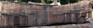 34253 Long California Black Walnut Slab 163"x37"-30"x3" June 2016 - Image 6