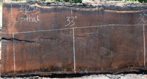 34253 Long California Black Walnut Slab 163"x37"-30"x3" June 2016 - Image 5