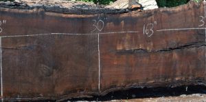 34253 Long California Black Walnut Slab 163"x37"-30"x3" June 2016 - Image 4
