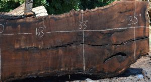 34253 Long California Black Walnut Slab 163"x37"-30"x3" June 2016 - Image 3