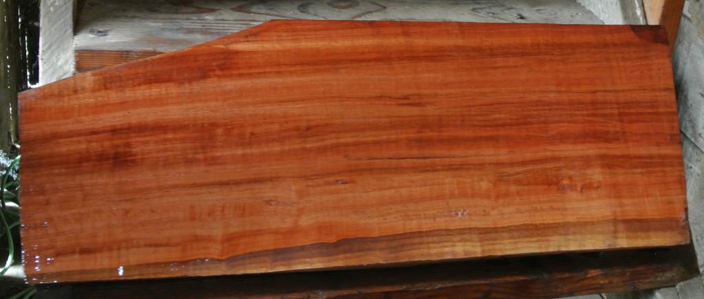 Jack Richeson Lyptus Wood Racine Table Top Easel